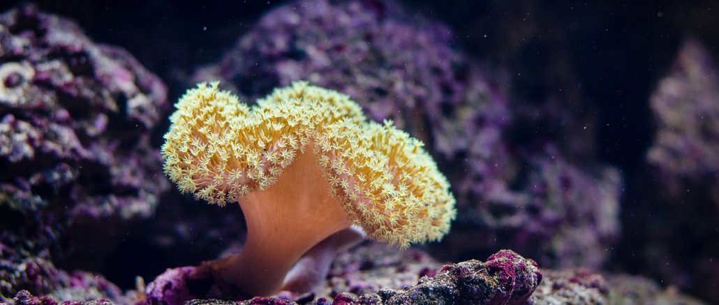10 facts about Australia