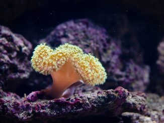 10 facts about Australia
